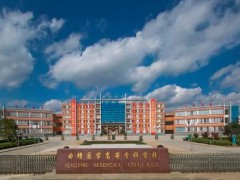 曲靖醫學高等?？茖W校預算485萬 采購招標藥學實驗儀器設備
